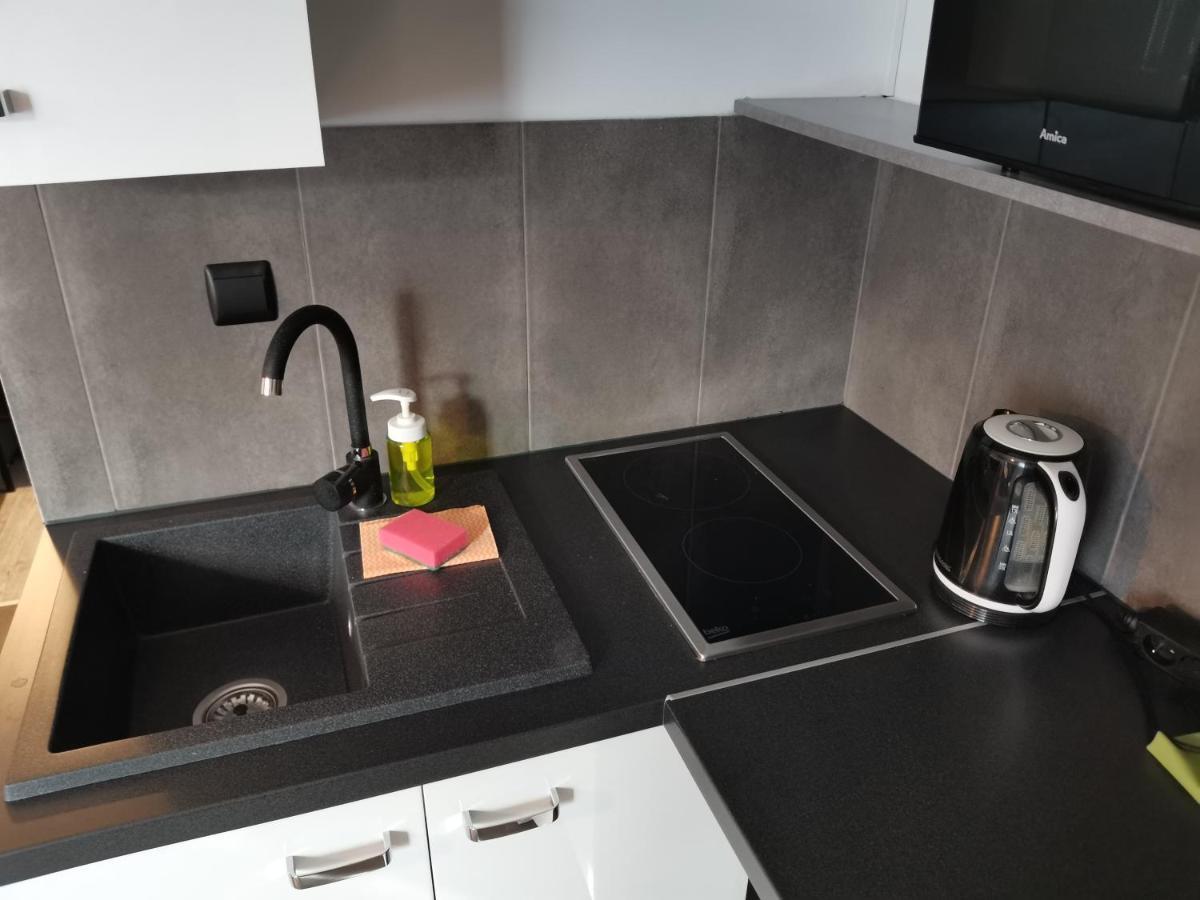 Apartamenty Jaskinia Solna Ruda Slaska Exterior foto